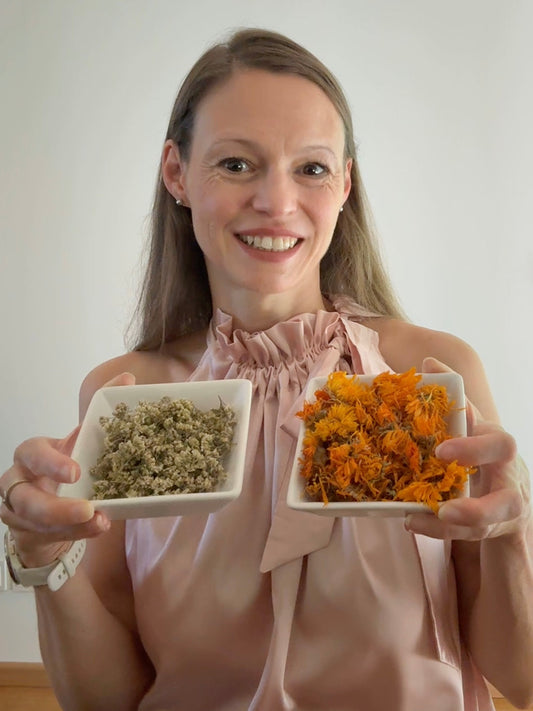 Schälchen mit Kräutern und echtem Tee nebeneinander – Kräuteraufguss und Camellia sinensis im Vergleich