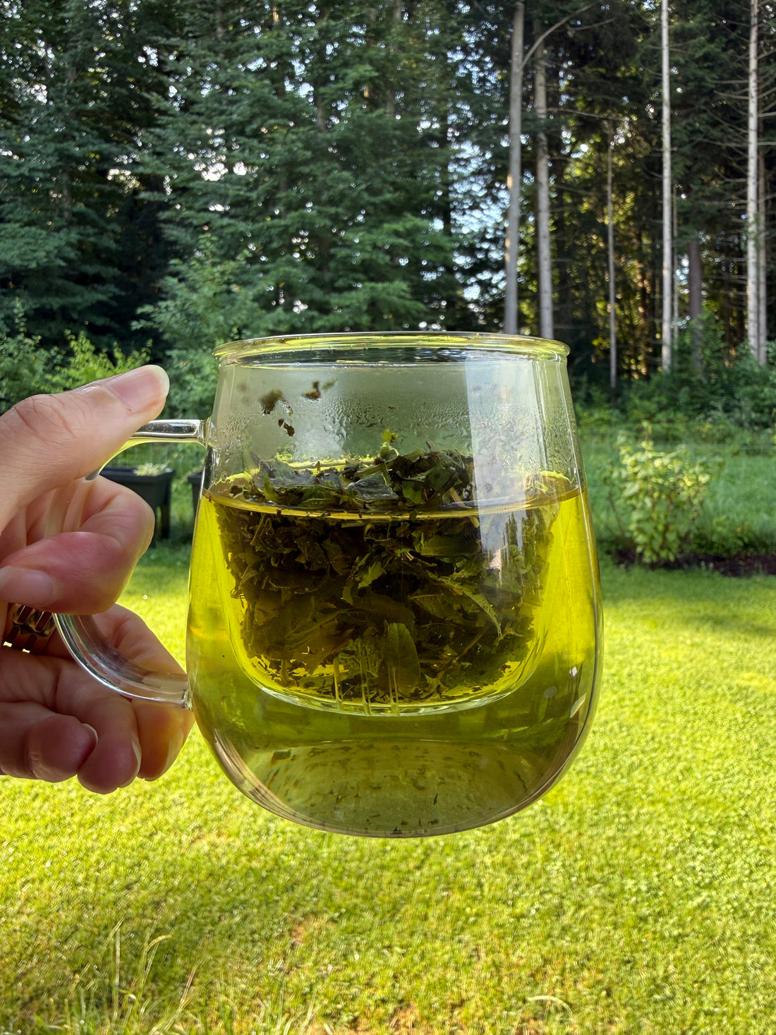 How to prepare your Merifemme tea