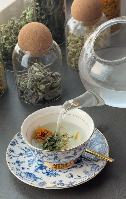 Dampf steigt über einer Tasse frisch aufgegossenem Merifemme-Kräutertee
